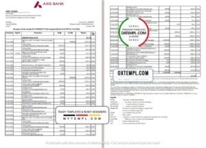 editable template, India Axis Bank statement template in Word and PDF format (2 pages)