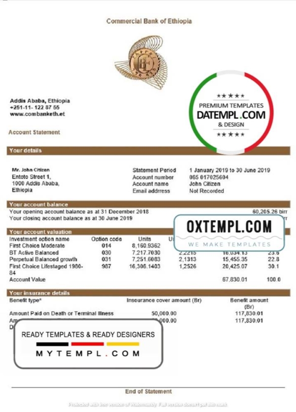 editable template, Ethiopia Commercial Bank of Ethiopia bank statement template in Word and PDF format, good for address prove