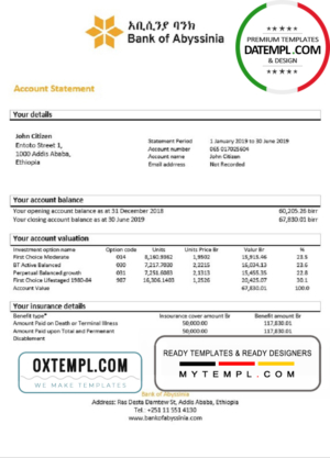 editable template, Ethiopia Bank of Abyssinia proof of address bank statement template in Word and PDF format