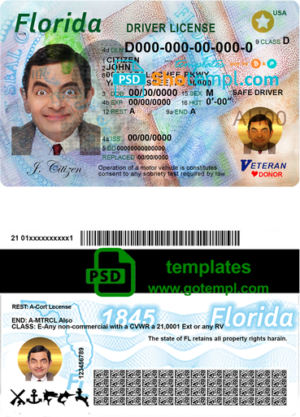 editable template, USA Florida driving license template in PSD format