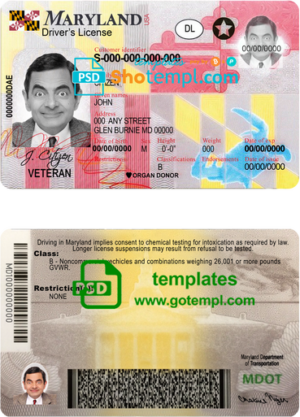 editable template, USA Maryland driving license template in PSD format