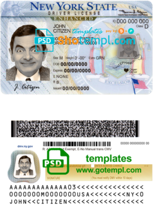 editable template, USA New York driving license template in PSD format