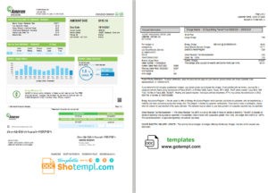 editable template, USA Ameren Missouri electricity utility bill template in Word and PDF format (2 pages)