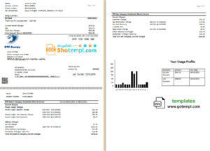 editable template, USA DTE Energy utility bill template in Word and PDF format (2 pages)
