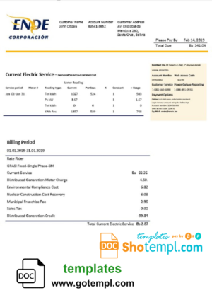 editable template, Bolivia ENDE Corporacion electricity utility bill template in Word and PDF format