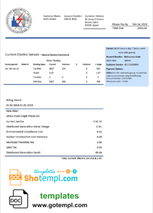 editable template, Egypt Egyptian Electricity utility bill template in Word and PDF format