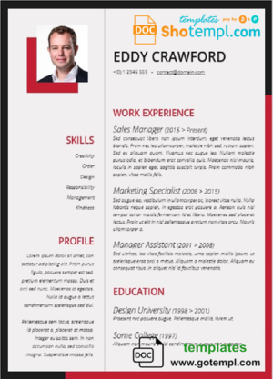 editable template, Completely Editable Professional Resume template in WORD format