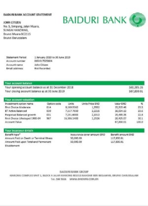 editable template, Brunei Baiduri Bank proof of addres statement template in Word and PDF format