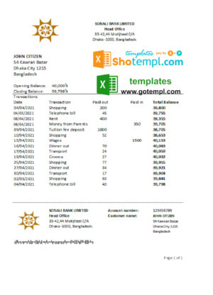 editable template, Bangladesh Sonali bank statement easy to fill template in Excel and PDF format