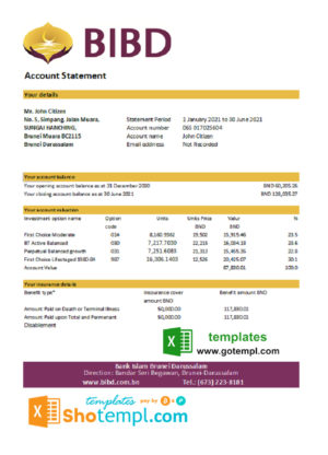 editable template, Brunei Bank Islam Brunei Darussalam bank statement template in Word and PDF format