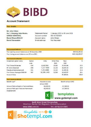editable template, Brunei Bank Islam Brunei Darussalam bank statement easy to fill template in Excel and PDF format (AutoSum)