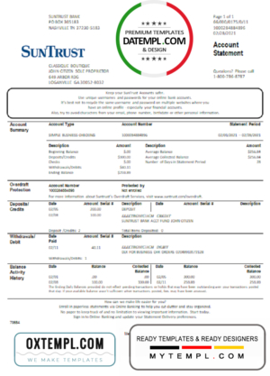 editable template, USA Georgia SunTrust bank statement template in Word and PDF format (For Sole Proprietor)