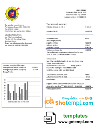 editable template, Laos Electricite du Laos electricity utility bill template in Word and PDF format