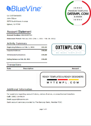 editable template, USA California BlueVine bank statement easy to fill template in .xls and .pdf file format