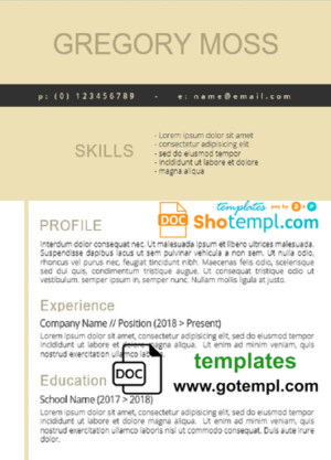 editable template, Professional Resume Template in WORD format