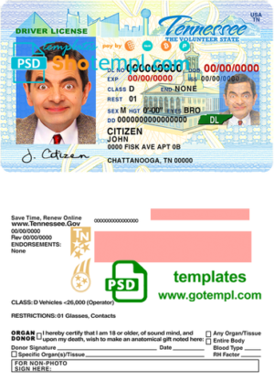 editable template, USA Tennessee driving license template in PSD format