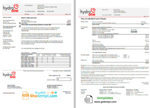 editable template, USA Ontario's Hydro One electricity utility bill template in Word and PDF format (2 pages)