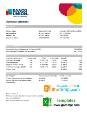 editable template, Bolivia Banco Union bank statement easy to fill template in Excel and PDF format (AutoSum)