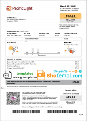 editable template, Singapore Pacific Light electricity utility bill template in Word and PDF format