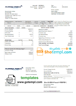 editable template, USA Florida Public Utilities utility bill template in Word and PDF format