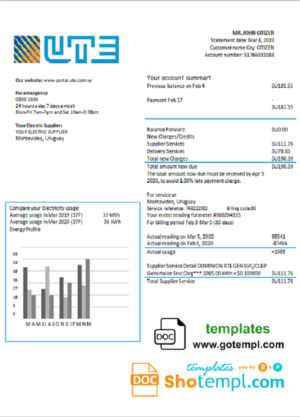 editable template, Uruguay UTE Company electricity utility bill template in Word and PDF format