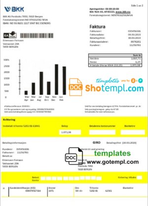 editable template, Norway BKK electricity utility bill template in Word and PDF format, good for address prove