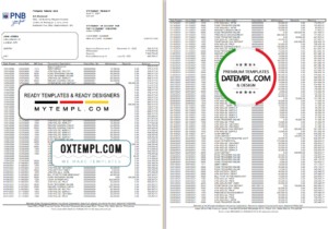 editable template, Philippines PNB bank statement template in Word and PDF format (4 pages)