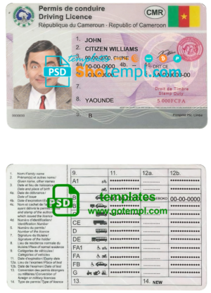 editable template, Cameroon driving license template in PSD format, fully editable