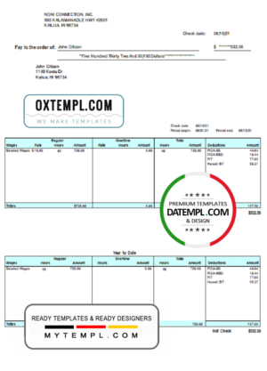 editable template, USA HI pay stub template in Word and PDF format, fully editable
