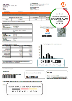 editable template, Philippines Meralco electricity utility bill template in Word and PDF format, version 2