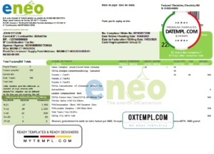 editable template, Cameroon ENEO electricity utility bill template in Word and PDF format (current version)