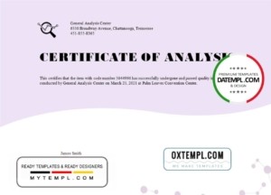 editable template, USA General Analysis certificate template in Word and PDF format