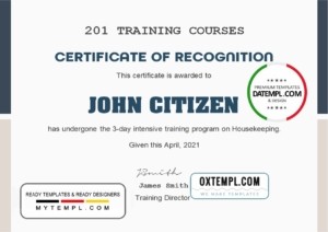editable template, USA Training Course certificate template in Word and PDF format