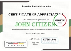 editable template, USA Softball certificate template in Word and PDF format