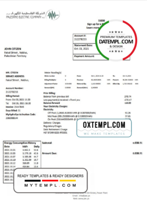 editable template, Palestine Electric Company (PEC) utility bill template in Word and PDF format