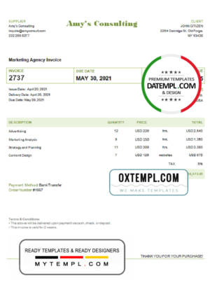 editable template, USA Amy’s Consulting invoice template in Word and PDF format, fully editable
