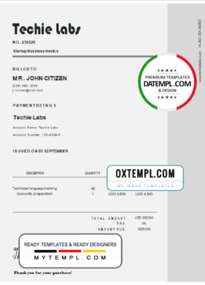 editable template, USA Techie Labs invoice template in Word and PDF format, fully editable