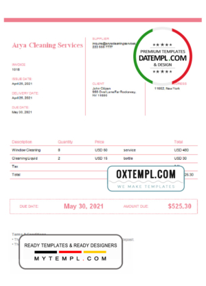 editable template, USA Arya Cleaning Services invoice template in Word and PDF format, fully editable