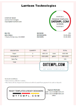 editable template, USA Larrison Technologies invoice template in Word and PDF format, fully editable