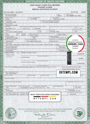 editable template, USA Illinois state death certificate template in PSD format, fully editable