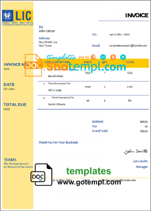 editable template, USA LIC invoice template in Word and PDF format, fully editable
