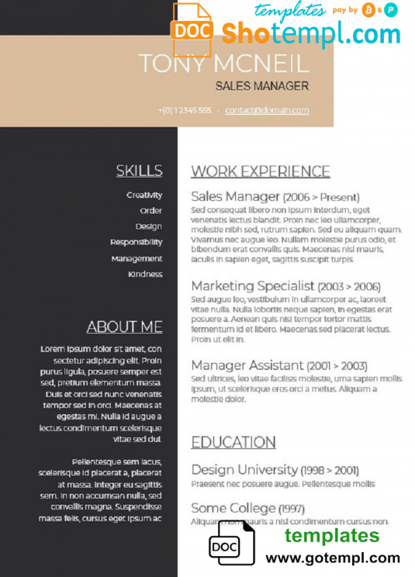 editable template, High Quality Professional CV template in WORD format