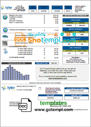 editable template, USA Tyler Technologies utility bill template in Word and PDF format