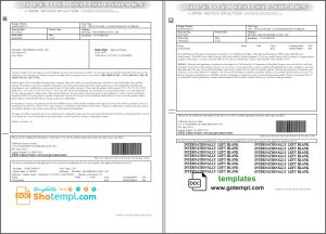 editable template, USA Form I-797B, Notice of Action template in Word and PDF format (2 pages)