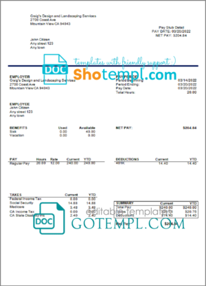 editable template, # bright mind pay stub template in Word and PDF format