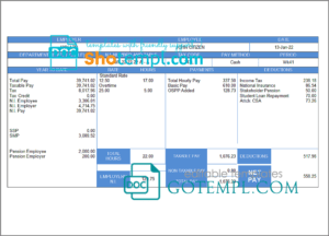 editable template, # elegant looks pay stub template in Word and PDF format