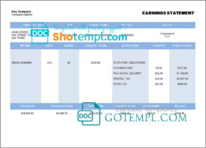 editable template, # eco haul pay stub template in Word and PDF format