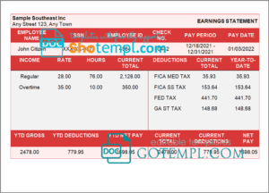 editable template, # sure shot pay stub template in Word and PDF format