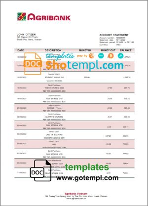 editable template, Vietnam Agribank bank statement template in Word and PDF format