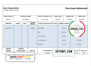 editable template, # focus point pay stub template in Word and PDF format